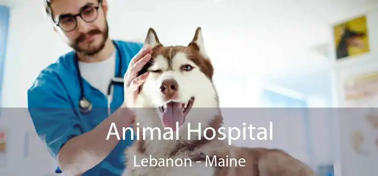 Animal Hospital Lebanon - Maine