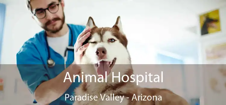 Animal Hospital Paradise Valley - Arizona