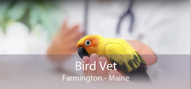 Bird Vet Farmington - Maine