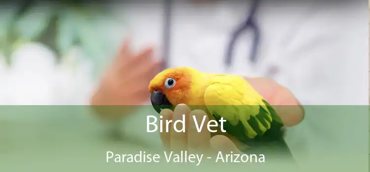 Bird Vet Paradise Valley - Arizona