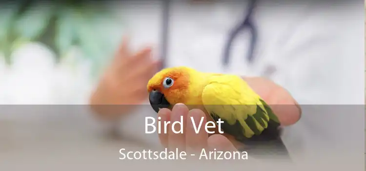 Bird Vet Scottsdale - Arizona