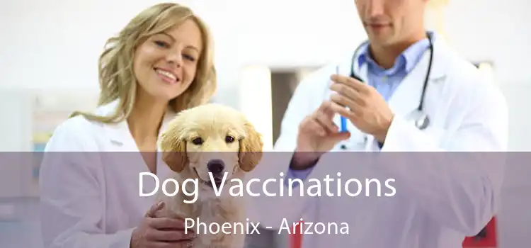 Dog Vaccinations Phoenix - Arizona