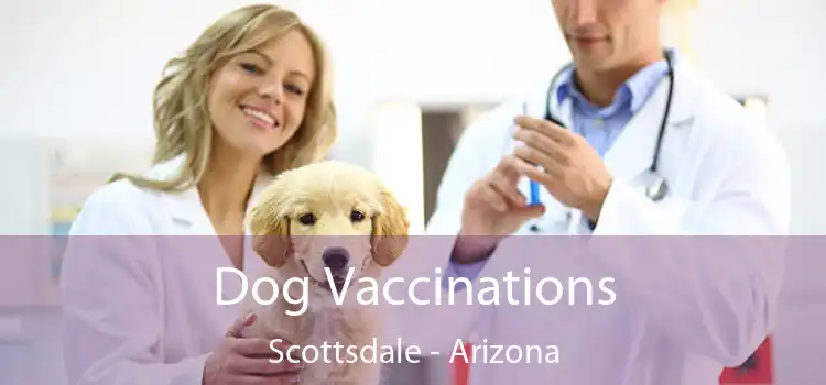 Dog Vaccinations Scottsdale - Arizona