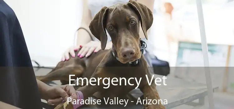 Emergency Vet Paradise Valley - Arizona