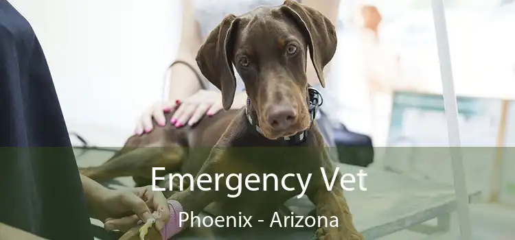 Emergency Vet Phoenix - Arizona