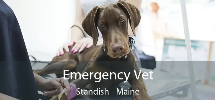 Emergency Vet Standish - Maine