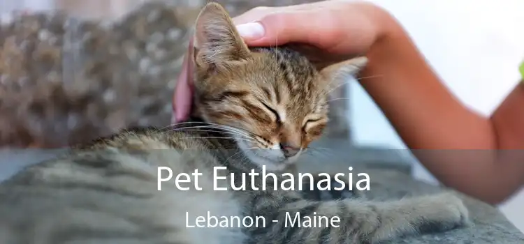 Pet Euthanasia Lebanon - Maine