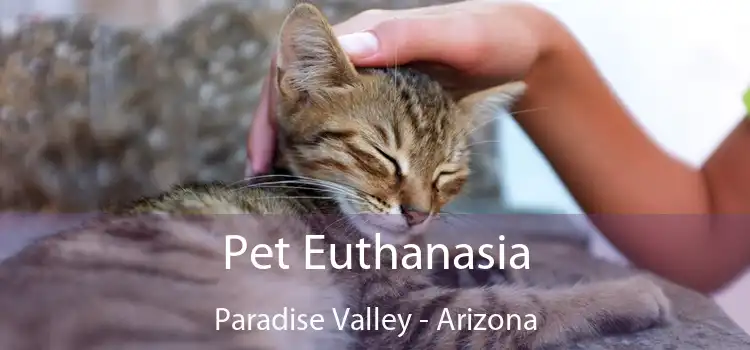 Pet Euthanasia Paradise Valley - Arizona