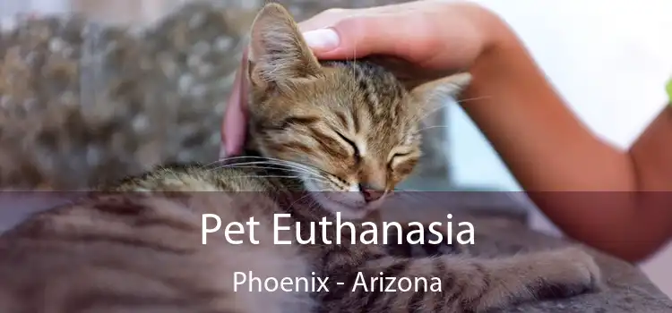 Pet Euthanasia Phoenix - Arizona