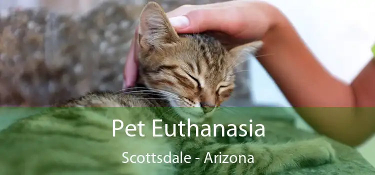 Pet Euthanasia Scottsdale - Arizona