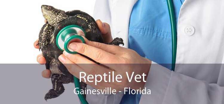 Reptile Vet Gainesville - 24 Hour Reptile Vet Near Me