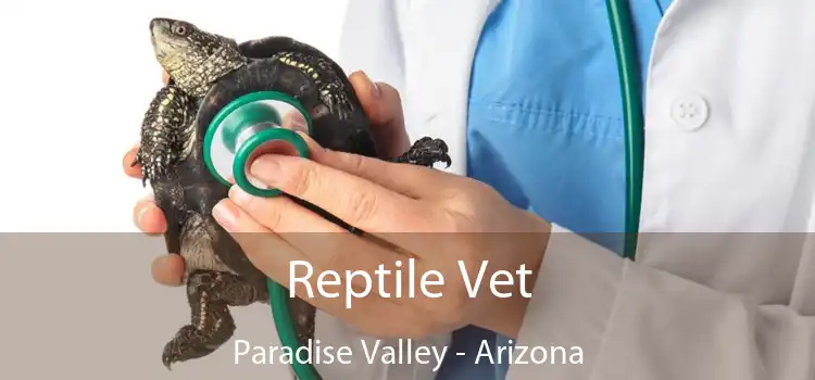 Reptile Vet Paradise Valley - Arizona