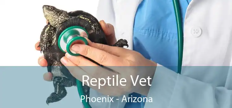 Reptile Vet Phoenix - Arizona