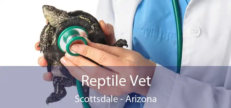 Reptile Vet Scottsdale - Arizona