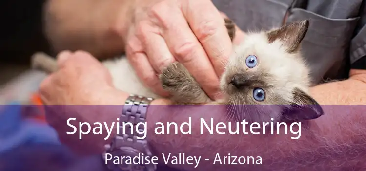 Spaying and Neutering Paradise Valley - Arizona